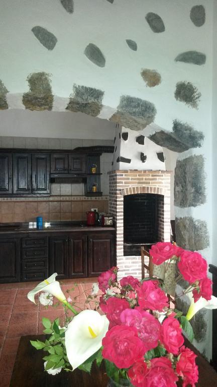 Casa Canaria La Moncloa Villa Icod De Los Vinos Cameră foto
